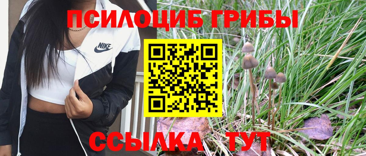 Галлюциногенные грибы мицелий Губаха