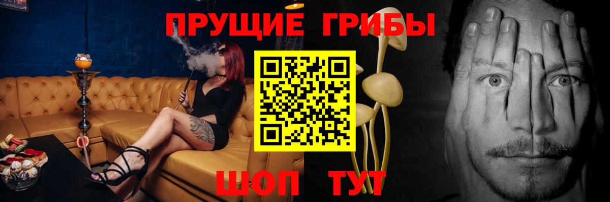 Псилоцибиновые грибы Psilocybine cubensis  купить наркоту  Губаха  Вход с VPN 
